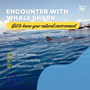 ENCOUNTER WITH WHALE SHARK